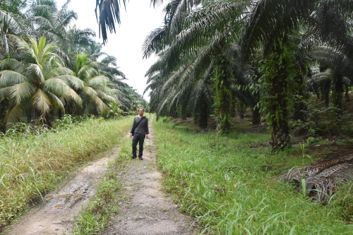 Im März bin ich auf Borneo gewesen. Hier stehe ich in einer Palmölplantage in Sabah, im malaysischen Teil Borneos.